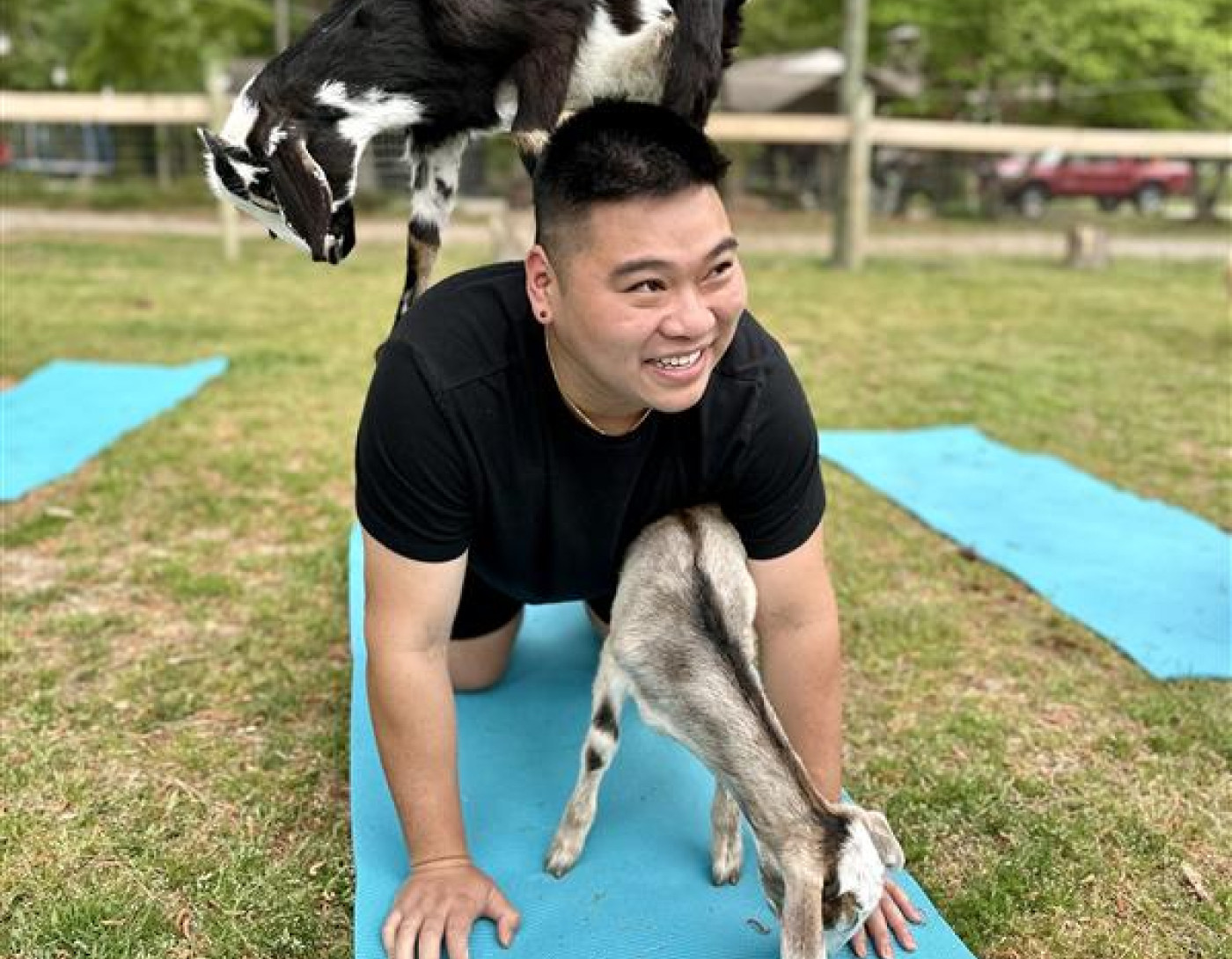 Flad Architects employee goat yoga group activity