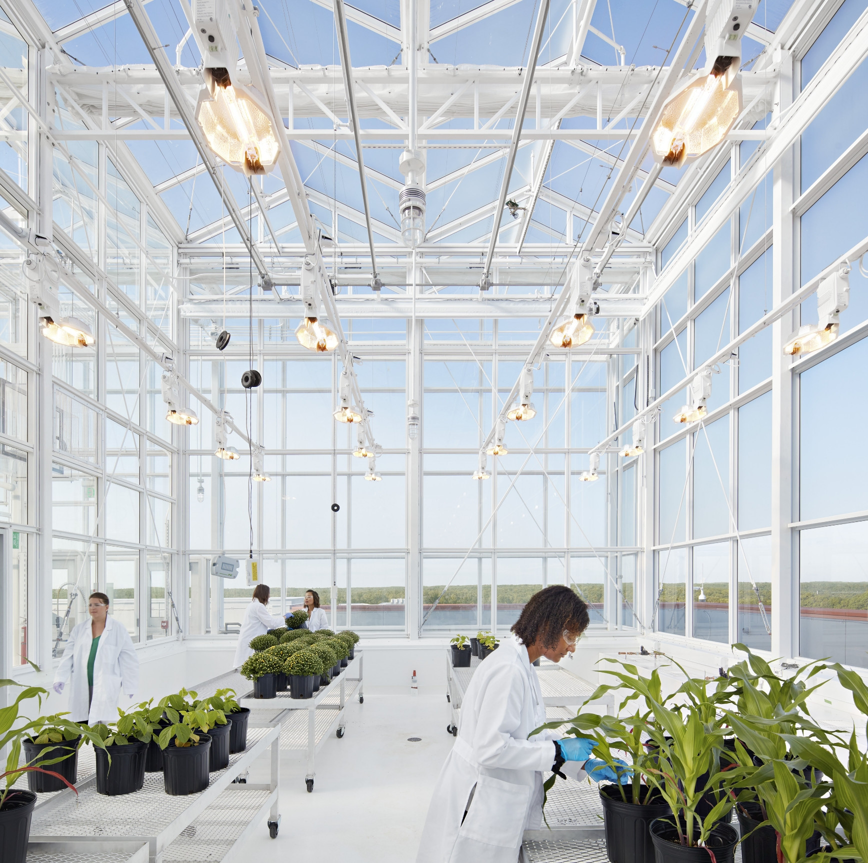 North Carolina State University - Plant Sciences Building: Rooftop Greenhouse