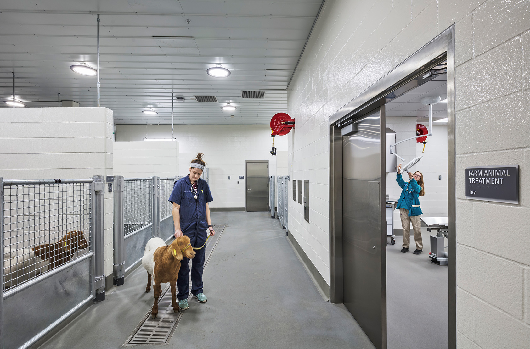 Purdue University - Veterinary Medical Hospital Complex