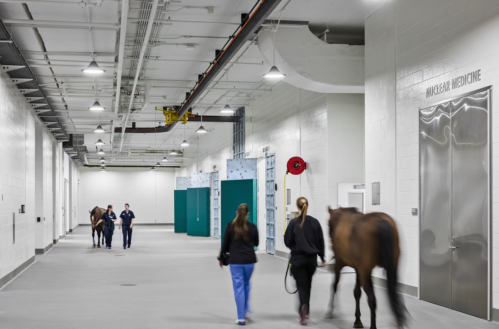 Purdue University - Veterinary Medical Hospital Complex