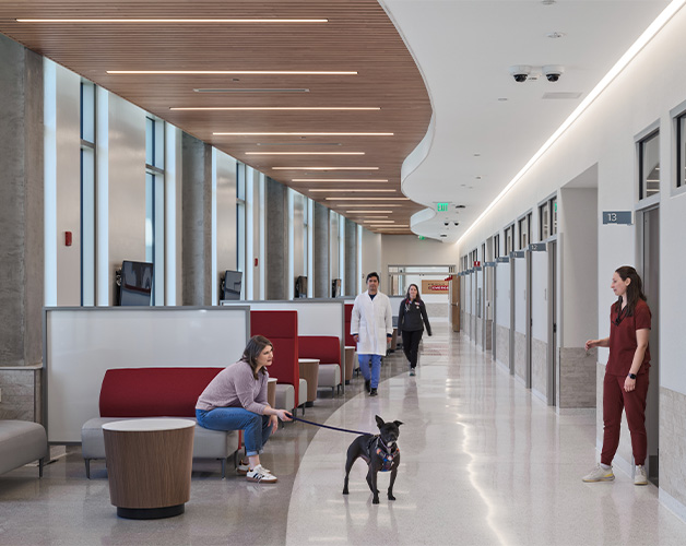 University of Wisconsin - Madison - School of Veterinary Medicine Addition and Renovation: Small Animal Clinic Patient Waiting Area and Exam Rooms