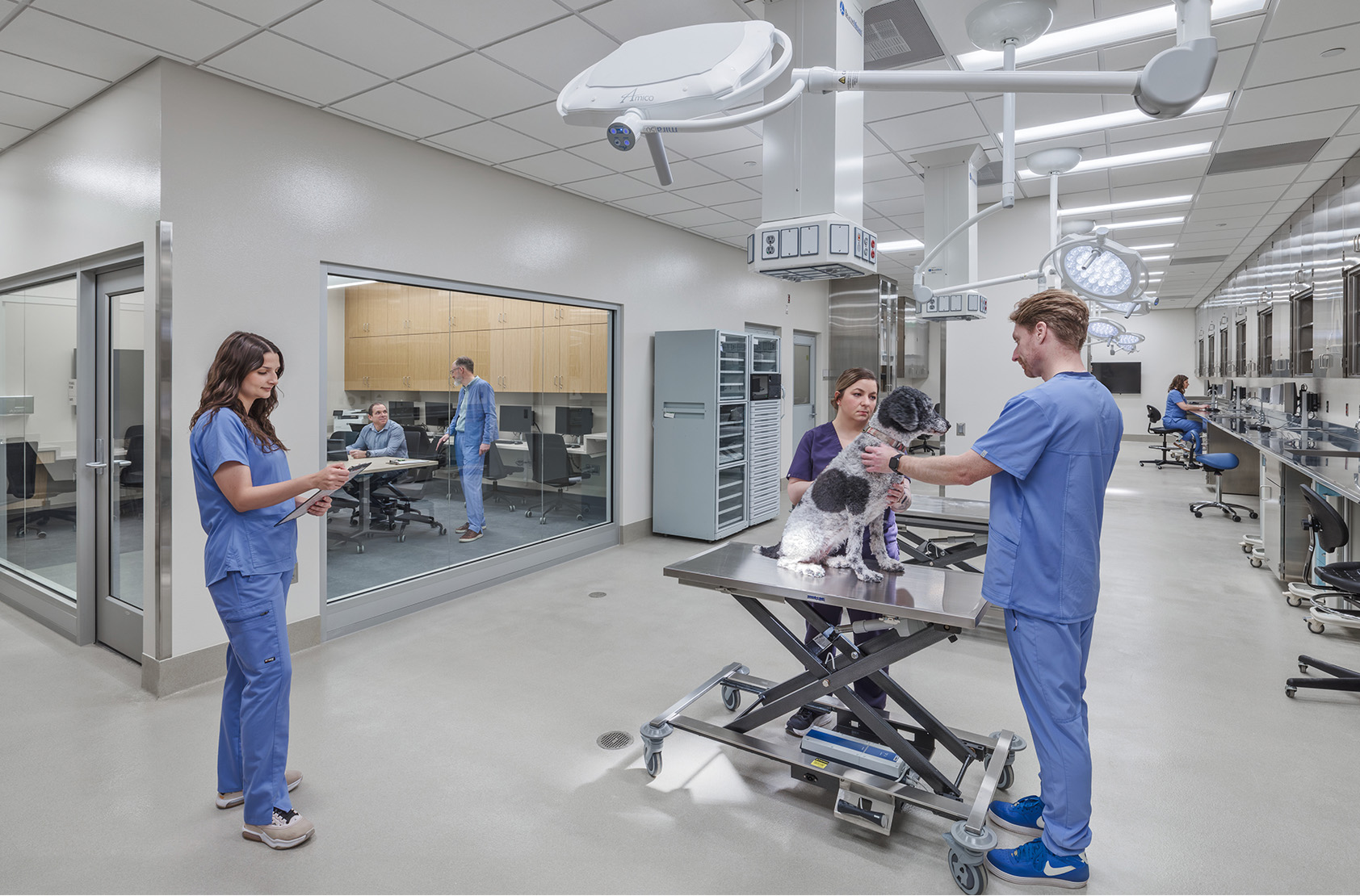 University of Wisconsin - Madison - School of Veterinary Medicine Addition and Renovation