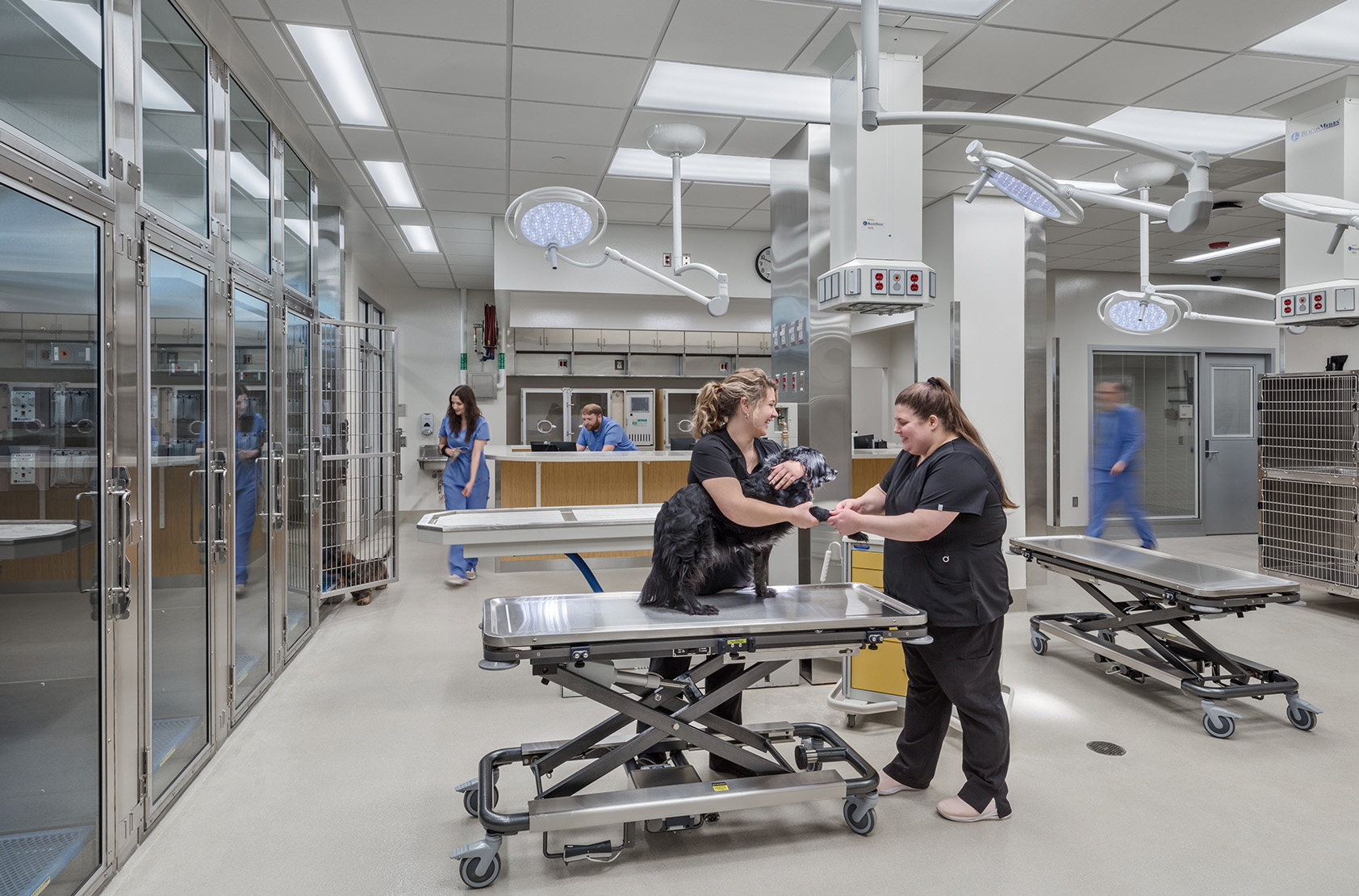 University of Wisconsin - Madison - School of Veterinary Medicine Addition and Renovation